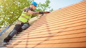 Best Roof Maintenance and Cleaning  in Scandia, MN