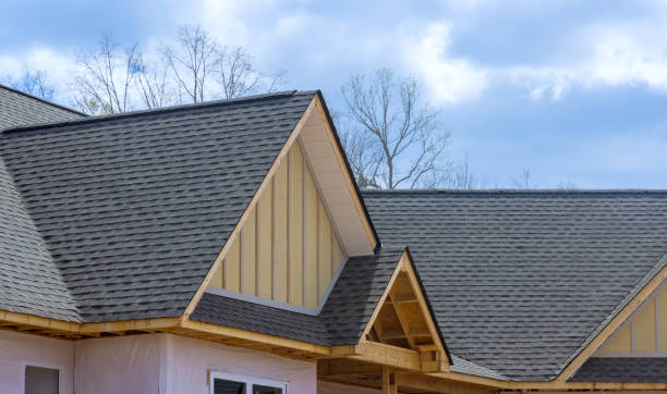 Best Steel Roofing  in Scandia, MN